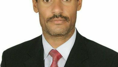 علي الدومري